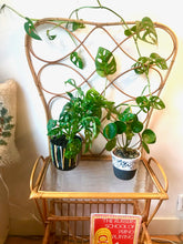 Load image into Gallery viewer, Rotan planten/kranten tafeltje (#303)